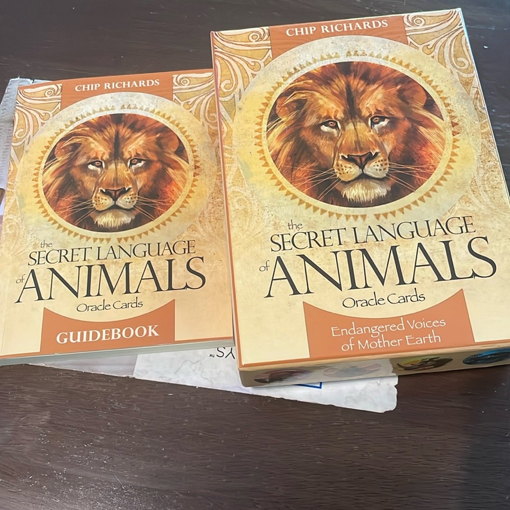 Secret Language Animals Oracle Cards